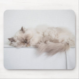 Persian Cat Mouse Mat