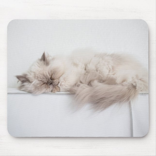 Persian Cat Mouse Mat (Front)