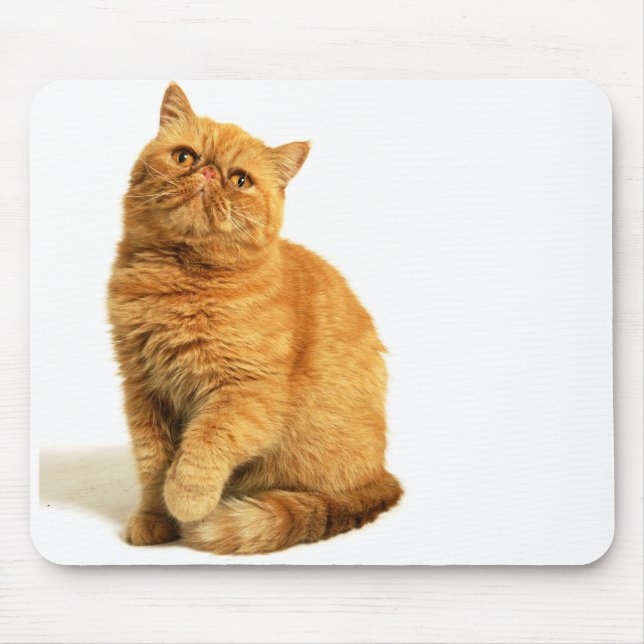 Persian cat mouse mat (Front)