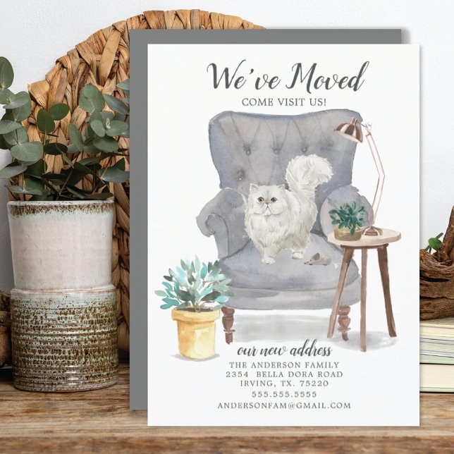 Persian Cat Moving Announcement (Creator Uploaded)