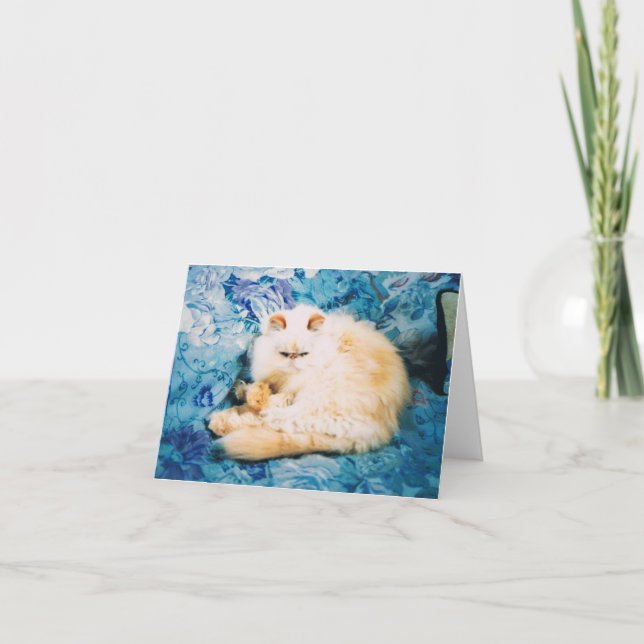 Persian Cat Note Card (Front)