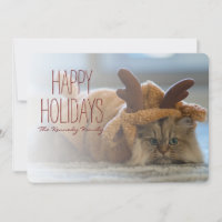 Persian cat on carpet in reindeer costume
