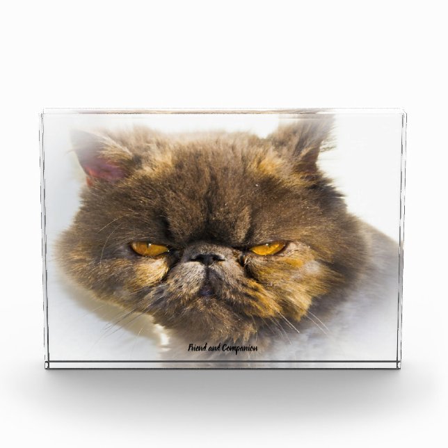 Persian Cat Photo Block (Front)
