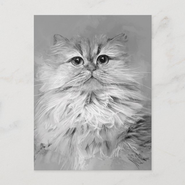 Persian Cat Postcard No.25 (Front)