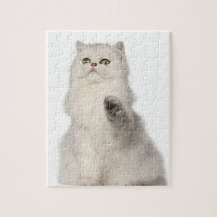 Persian cat sitting jigsaw puzzle
