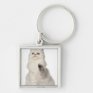 Persian cat sitting key ring