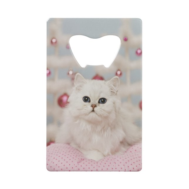 Persian cat sitting on pink pillow (Front)