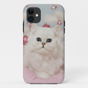 Persian cat sitting on pink pillow iPhone 11 case