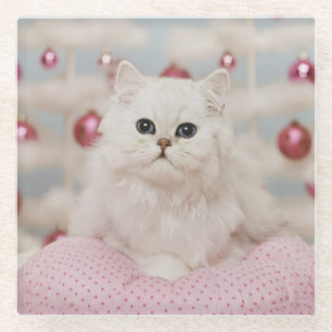 Persian cat sitting on pink pillow glass coaster