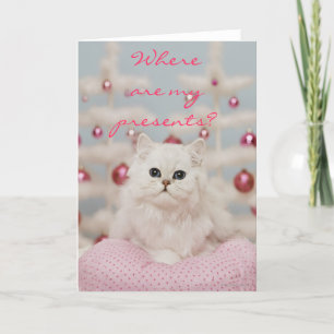 Persian cat sitting on pink pillow holiday card