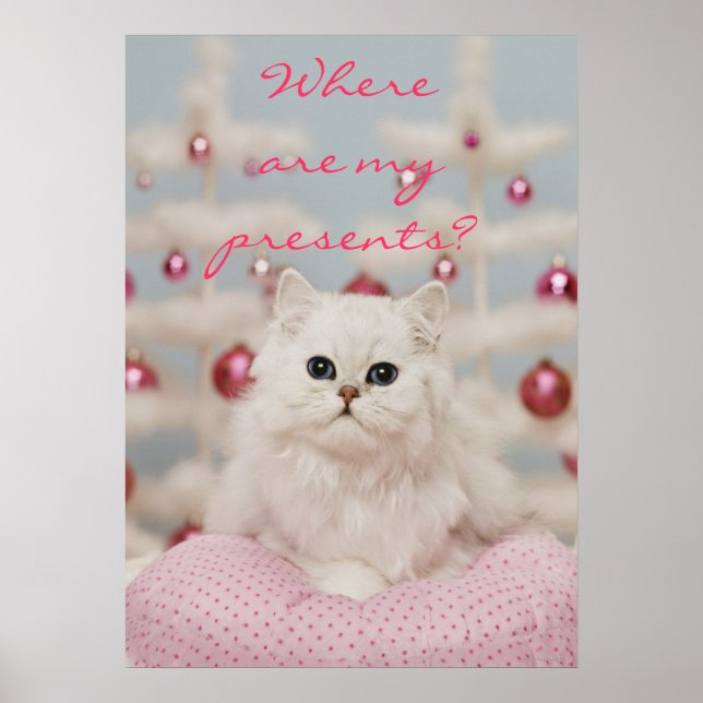 Persian cat sitting on pink pillow poster (Front)