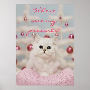 Persian cat sitting on pink pillow poster