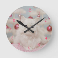 Persian cat sitting on pink pillow