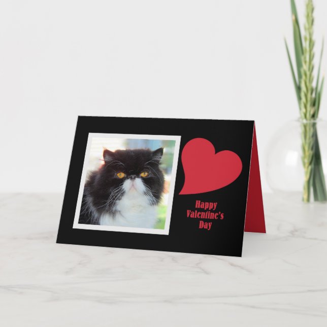 Persian Cat Valentine Holiday Card (Front)
