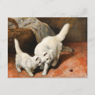 Persian Cat Vintage Art Postcard