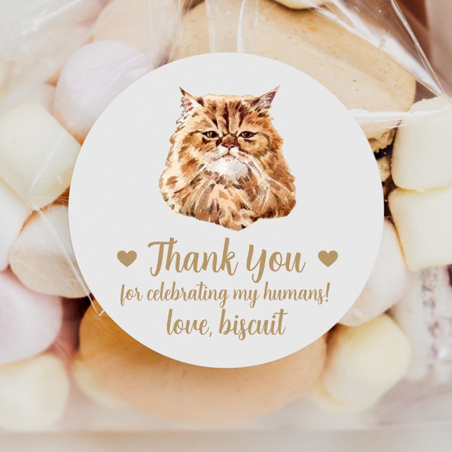 Persian Cat Wedding Favour Stickers (Creator Uploaded)