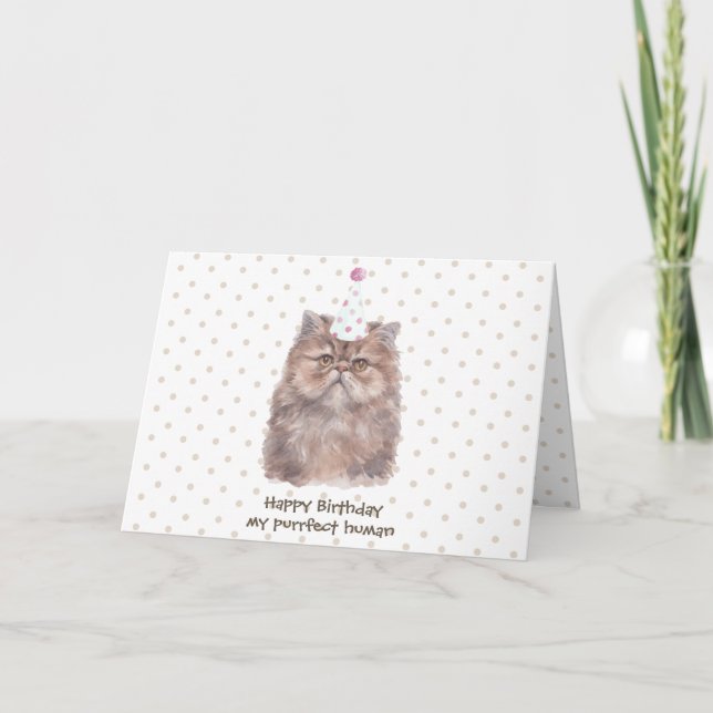 Persian Cat with birthday Hat Card (Front)