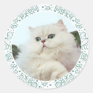 Persian Cat with Jade Eyes Classic Round Sticker