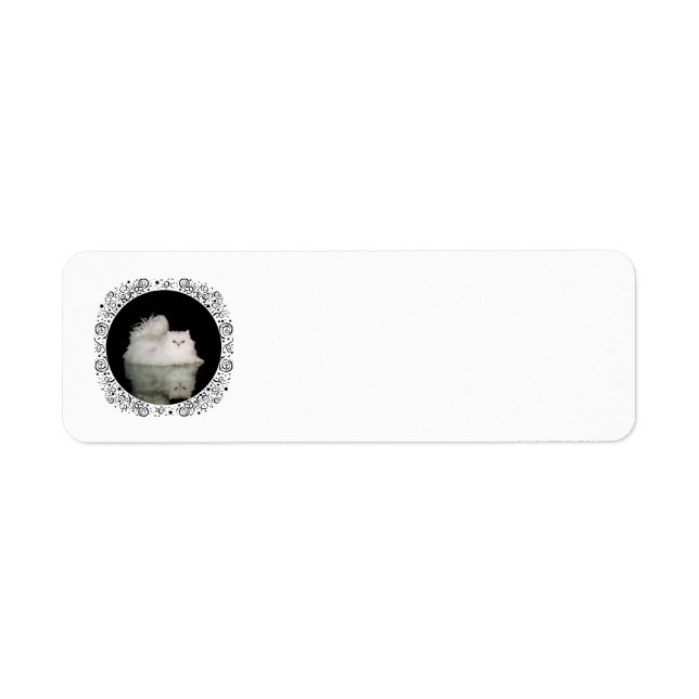 Persian Cat with Jade Green Eyes (Front)