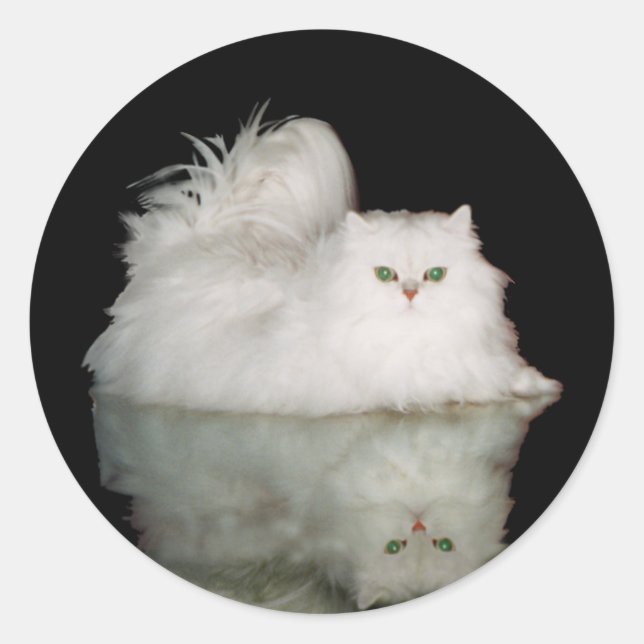 Persian Cat with Jade Green Eyes Classic Round Sticker (Front)