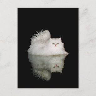 Persian Cat with Jade Green Eyes Postcard