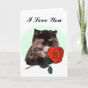 Persian Cat with Red Rose Card