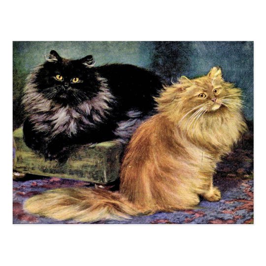 Persian Cats, Smoke and Orange Postcard