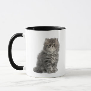 Persian Kitten (2 months old) sitting Mug