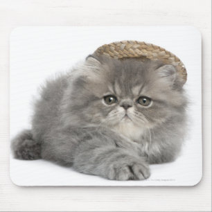 Persian Kitten (2 months old) wearing a straw Mouse Mat