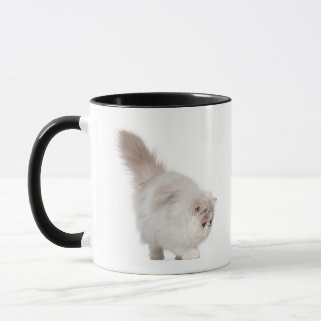 Persian kitten (3 months old) mug (Left)