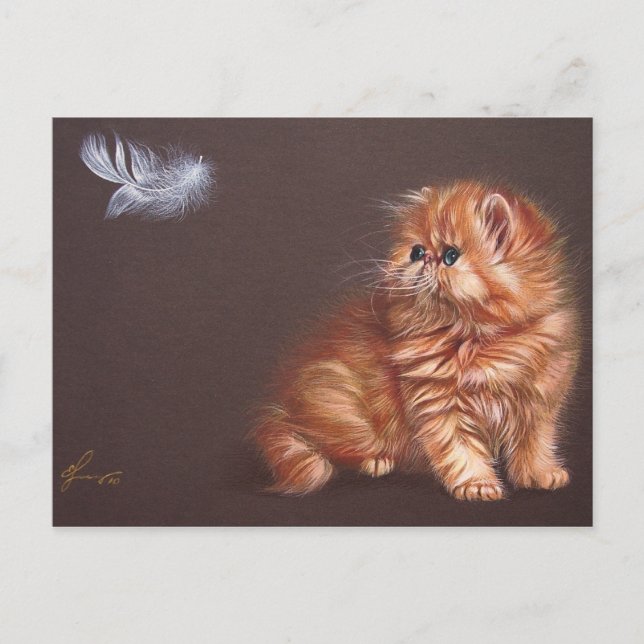 Persian kitten and feather postcard (Front)
