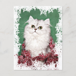 Persian kitten Christmas Holiday Postcard