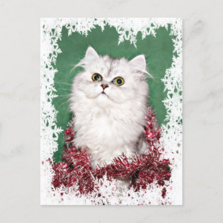 Persian kitten Christmas Holiday Postcard