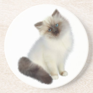 Persian Kitten Coaster