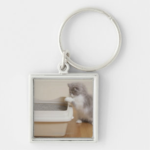 Persian Kitten looking at litter box Key Ring