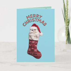 Persian Kitty Christmas Stocking Card