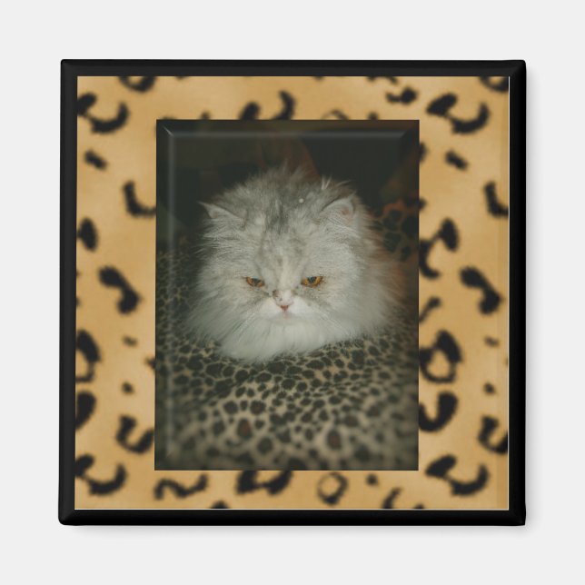 Persian Kitty Magnet (Front)