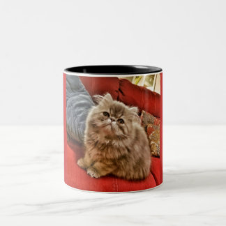 Persian Kitty Mug