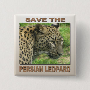 Persian Leopard 15 Cm Square Badge