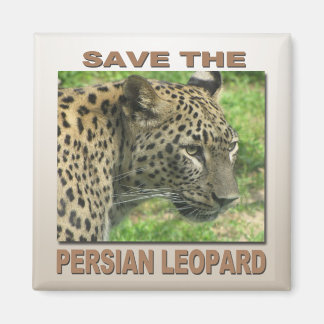 Persian Leopard Magnet