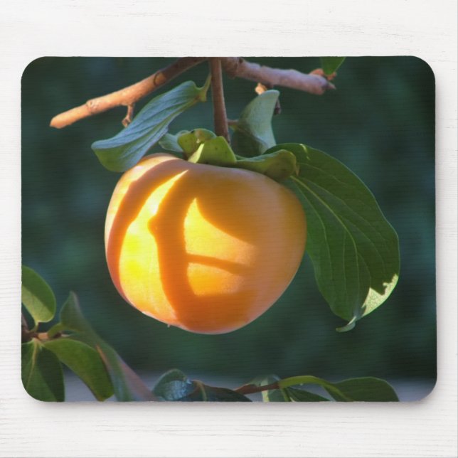 persimmon fruit mouse mat (Front)