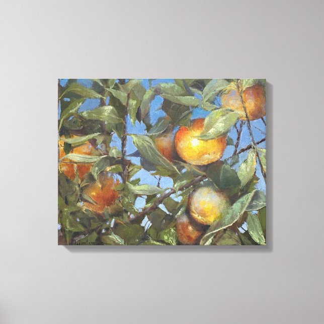 Persimmon Fruit Tree Beautiful Original Artwork Canvas Print (Front)