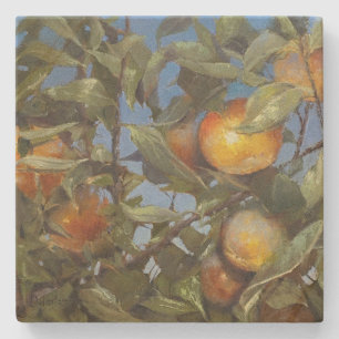Persimmon Fruit Tree Beautiful Original Artwork Stone Coaster
