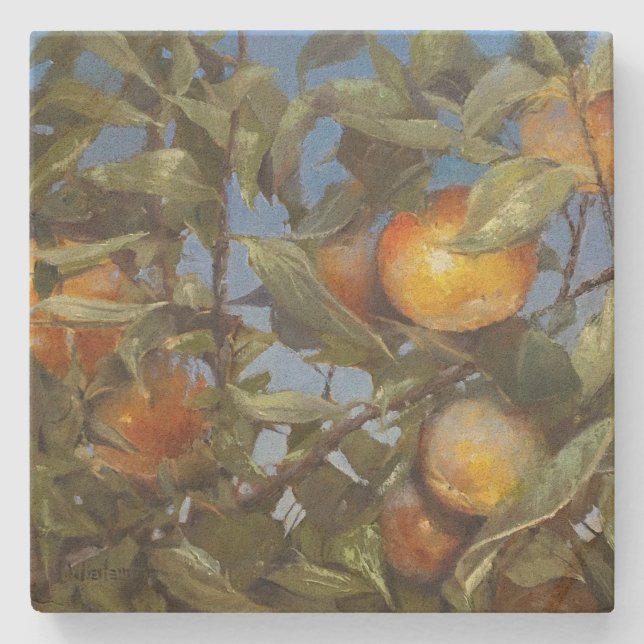 Persimmon Fruit Tree Beautiful Original Artwork Stone Coaster (Front)