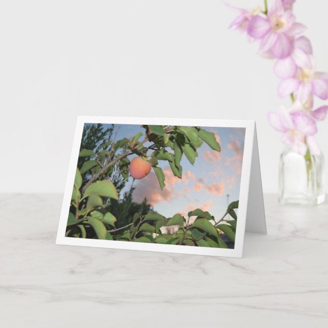Persimmon in Tree, Pink Sky Portrait Card (Orchid)