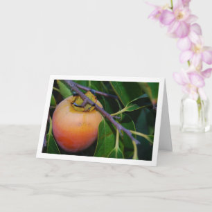 Persimmon in Tree Portrait Card
