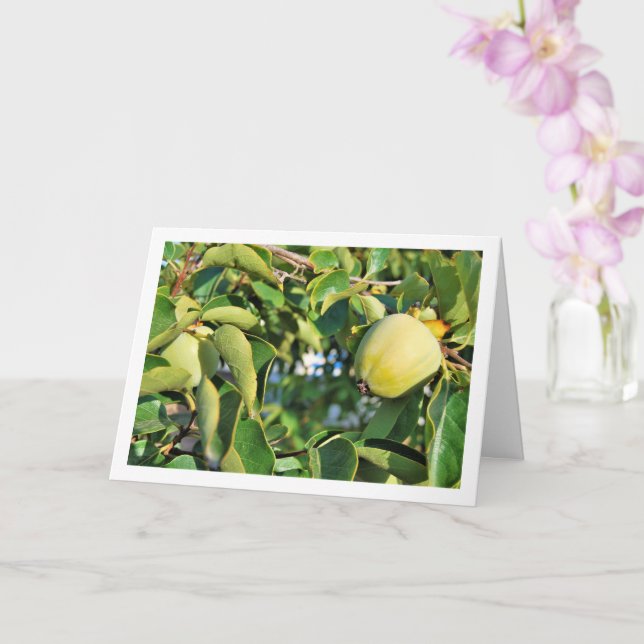Persimmon Tree Portrait Card (Orchid)