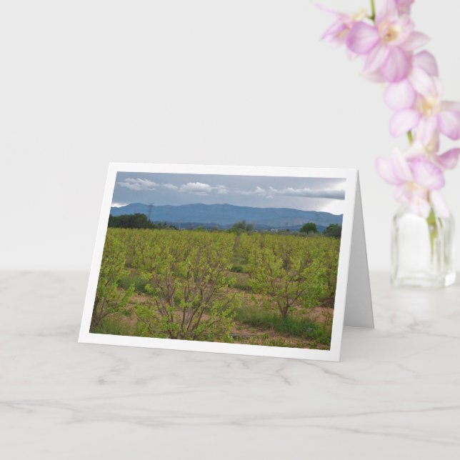 Persimmon Trees and Mountain Landscape Card (Orchid)