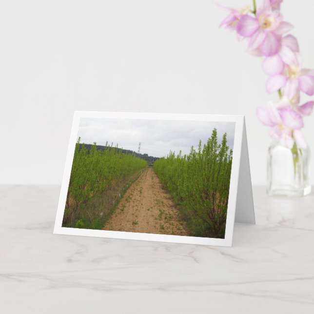 Persimmon Trees in Spring Card (Orchid)