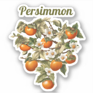 Persimmons